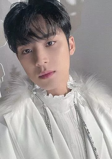 Mingyu SEVENTEEN photocard - あいのちから (Power of Love) Trading Cards