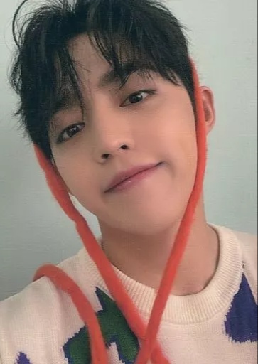 S.coups SEVENTEEN photocard - あいのちから (Power of Love) Trading Cards