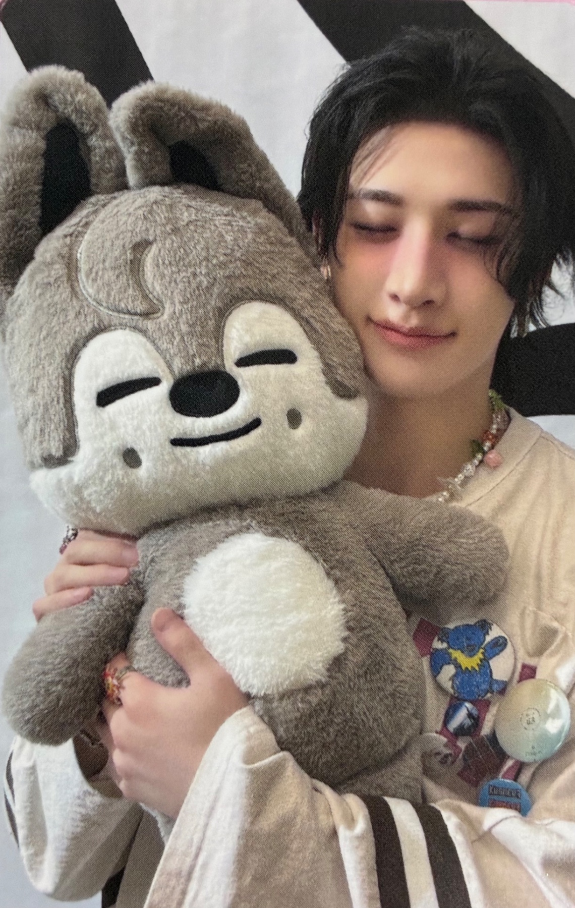 World Tour 'dominATE celebrATE' SKZOO Tincase