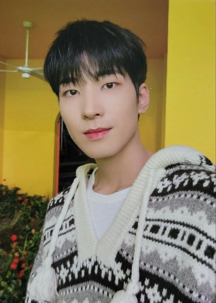 Wonwoo SEVENTEEN photocard from Christmas Card