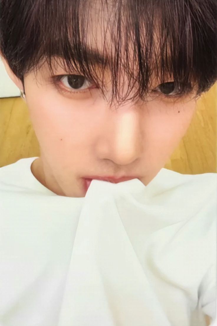 Apple Music 3.0 Online 1.0