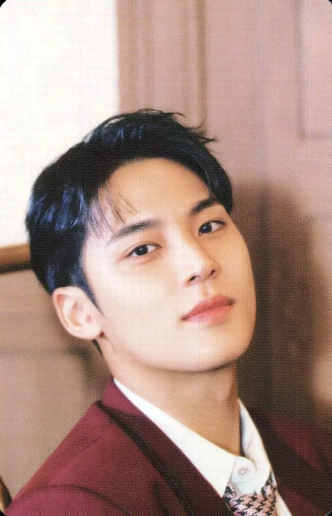 Mingyu SEVENTEEN photocard - SPILL THE FEELS Booklet (Random Member set)