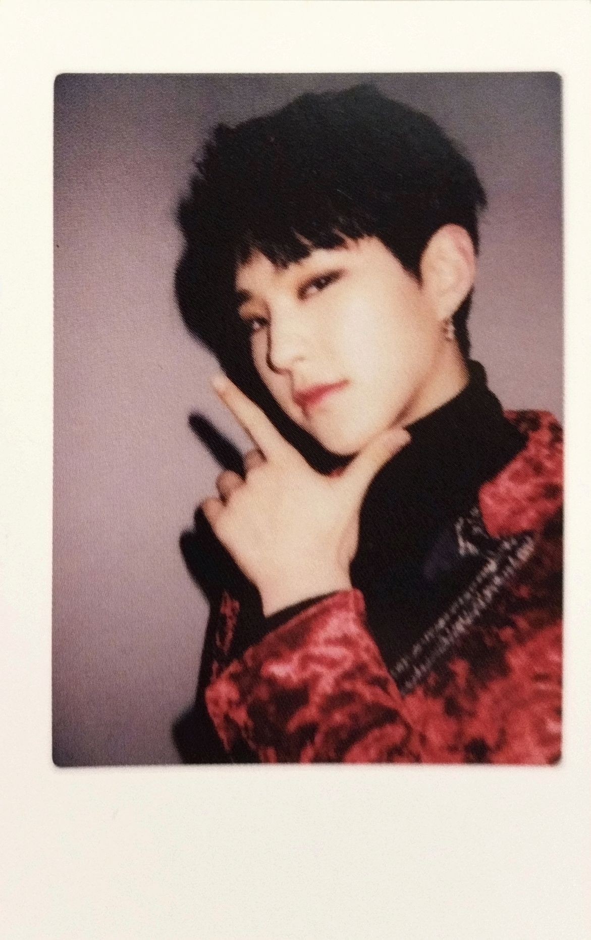 2017 Seventeen in Caratland Photocard Set