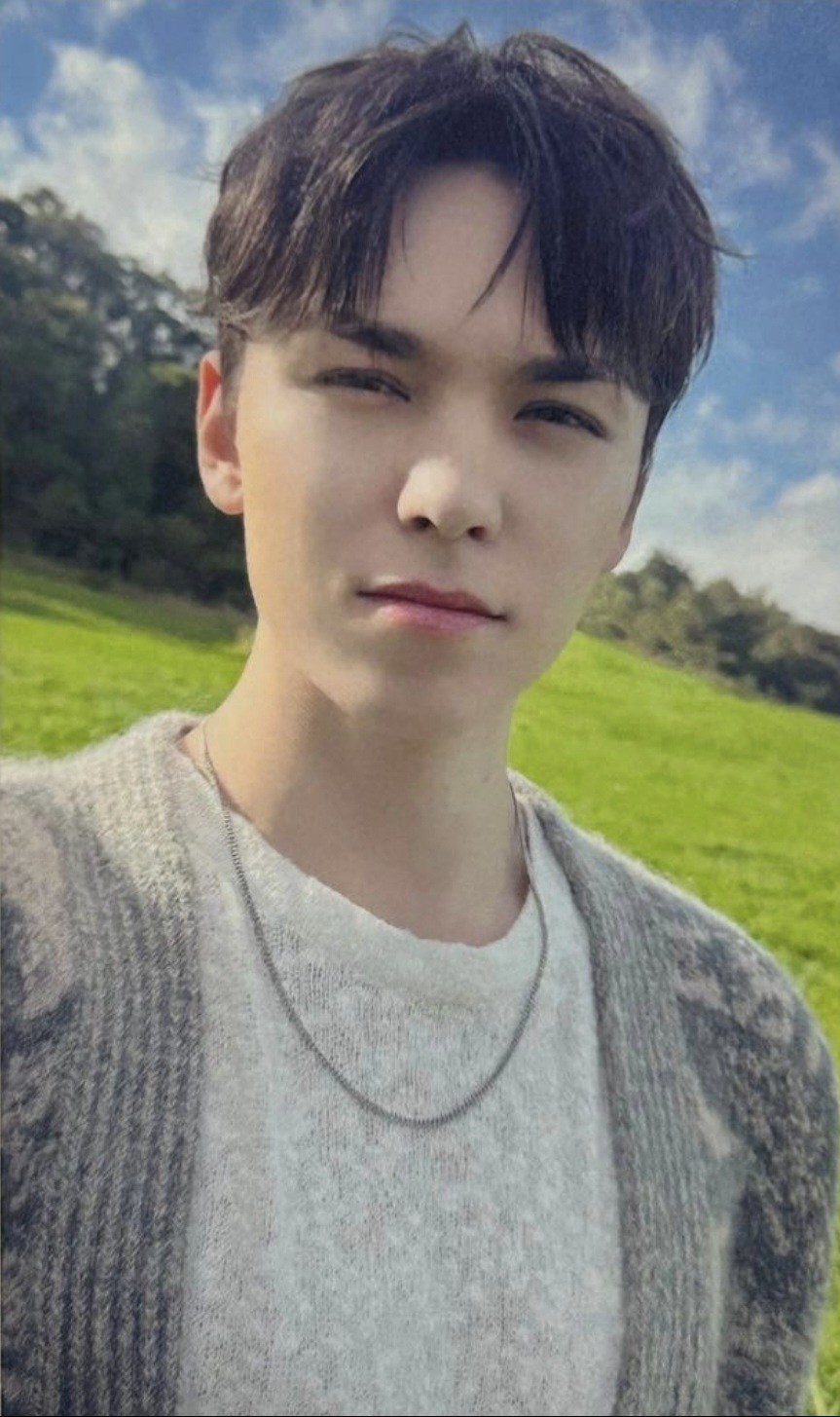 Vernon SEVENTEEN photocard from Osaka Purchase Benefit