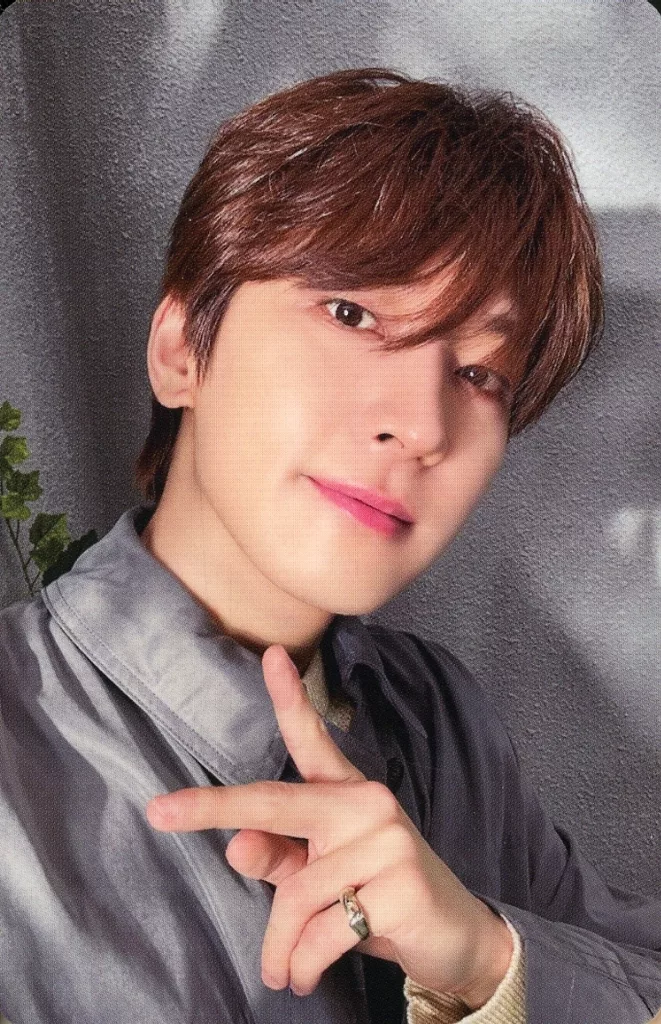 Wonwoo SEVENTEEN photocard from Selfie Photocard B