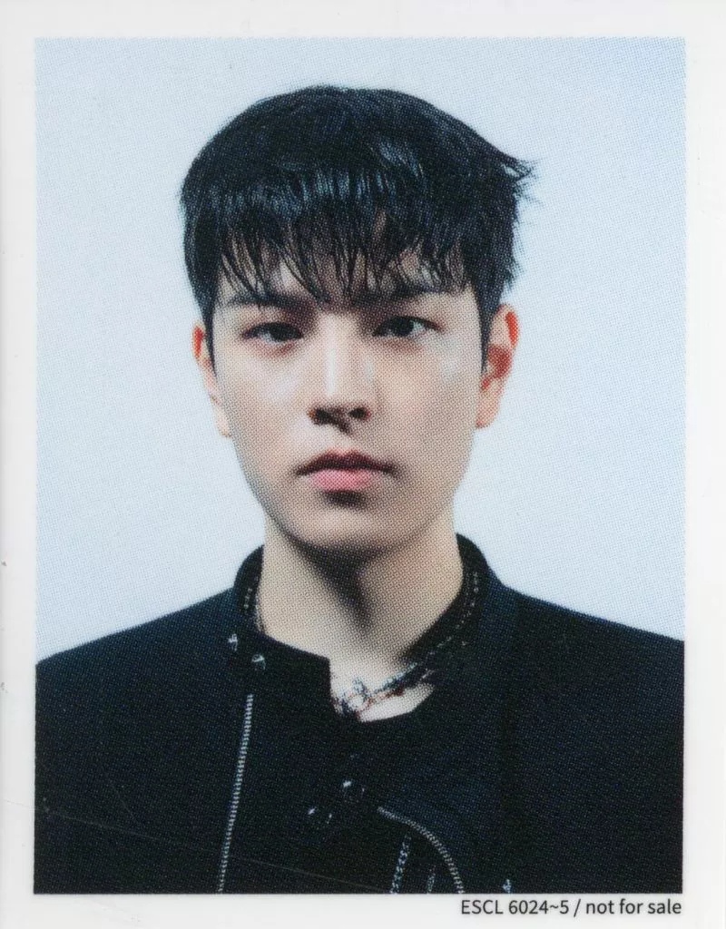 Seungmin Stray Kids photocard - GIANT ID Photo