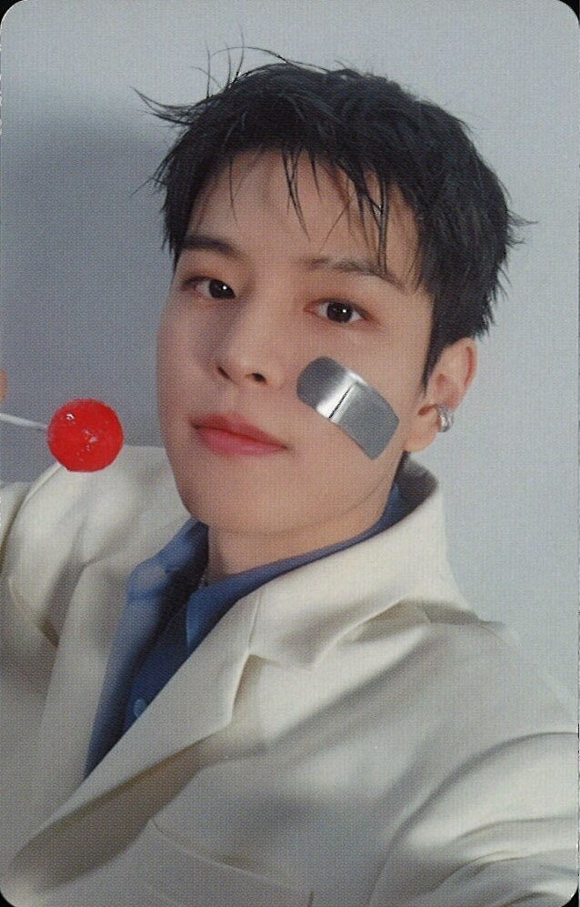 Seungmin Stray Kids photocard - GIANT Benefit