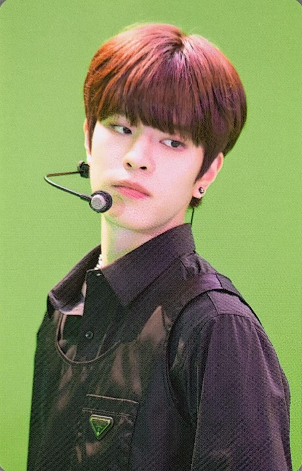 Dicon D'Festa Photocard