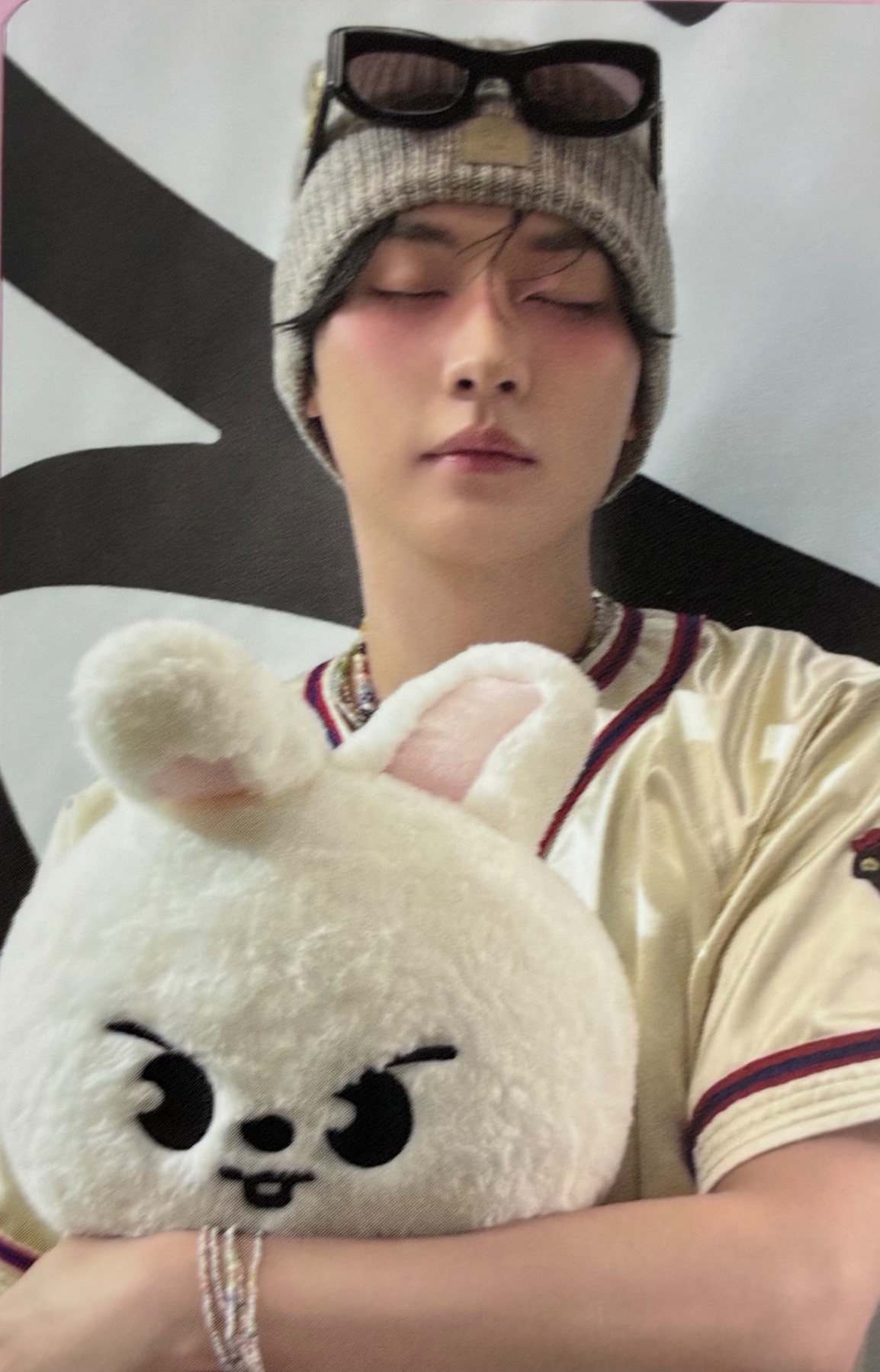 World Tour 'dominATE celebrATE' SKZOO Tincase