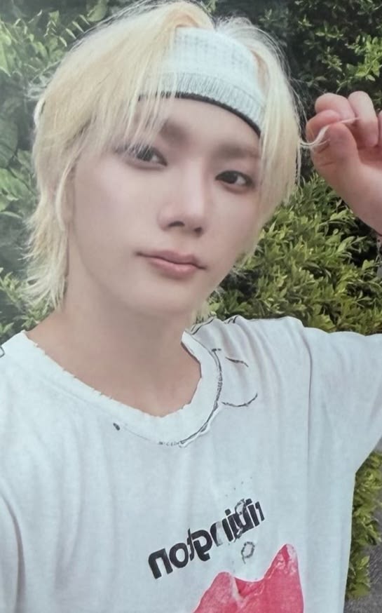 Sungho BOYNEXTDOOR photocard from Benefit