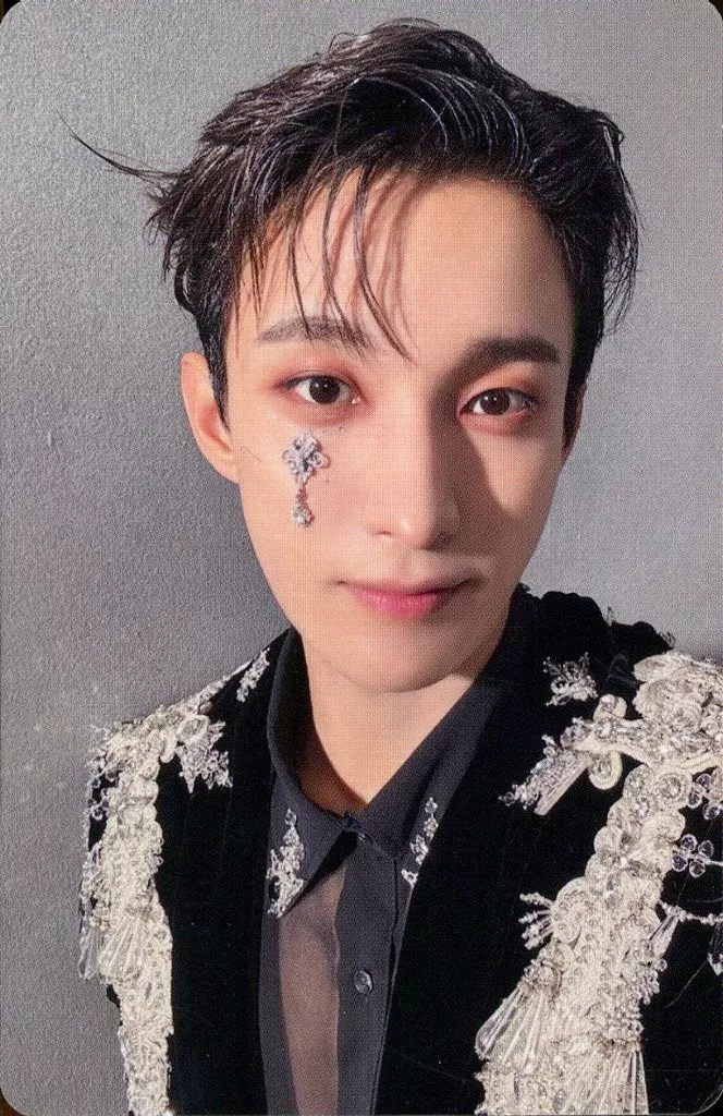 DK SEVENTEEN photocard from Selfie Photocard