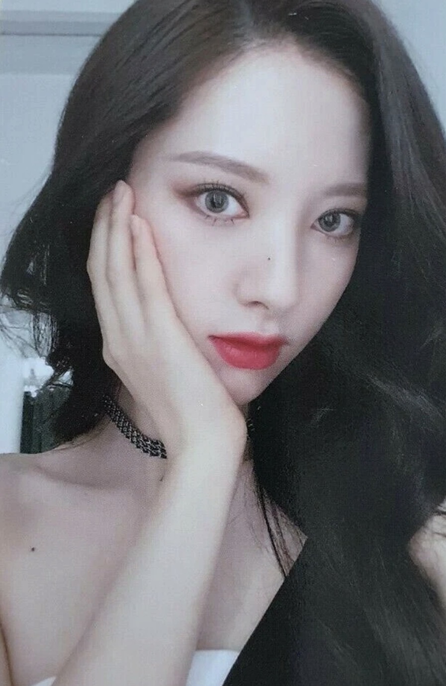 Bona
