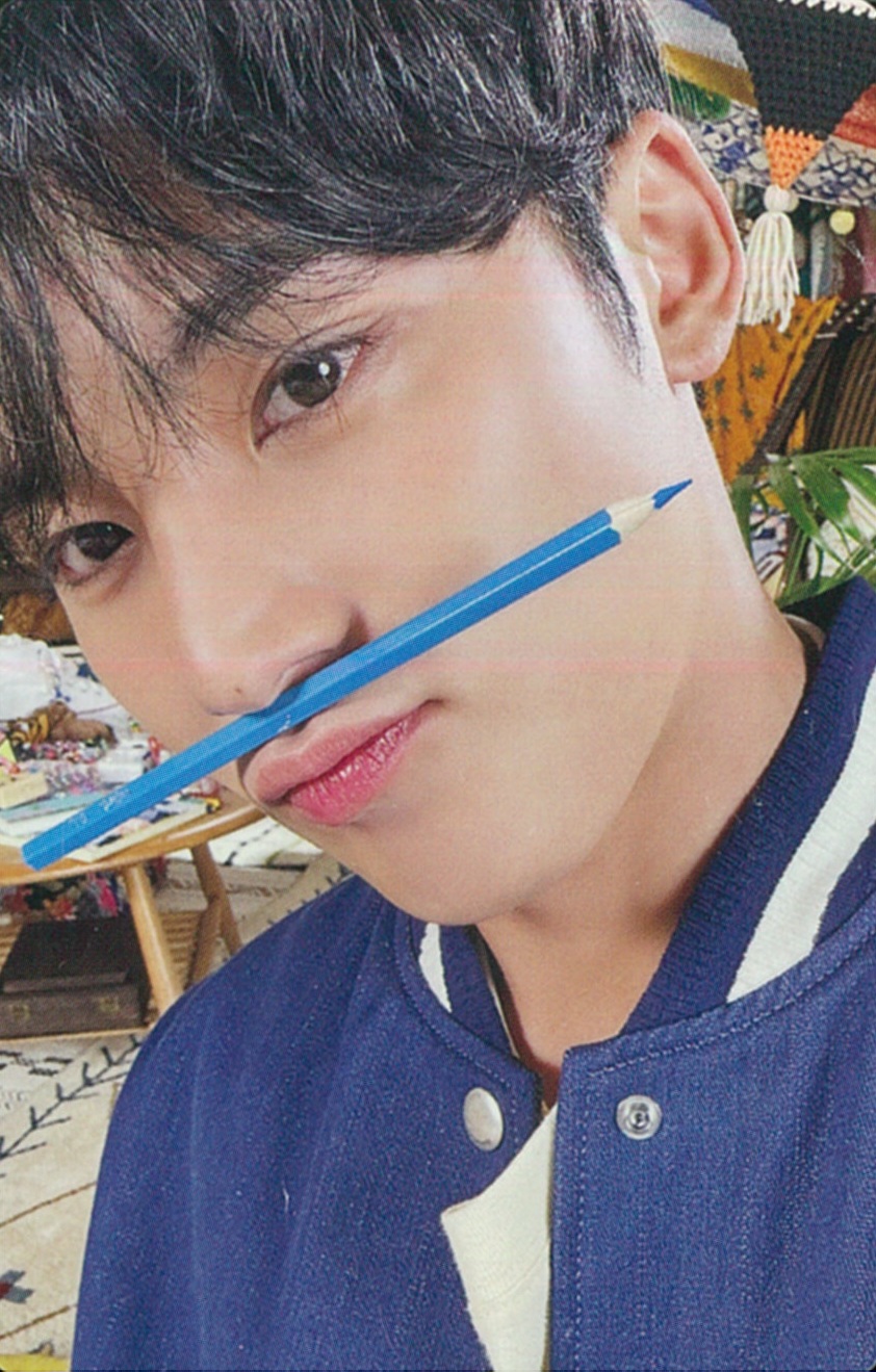 Mingyu SEVENTEEN photocard - 消費期限 Photocard