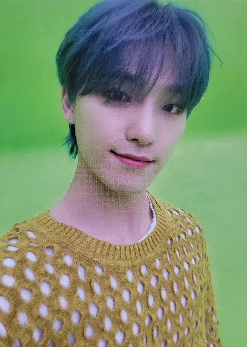 Dino SEVENTEEN photocard - あいのちから (Power of Love) Christmas Card