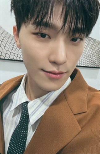 Dino SEVENTEEN photocard - SPILL THE FEELS Photocard