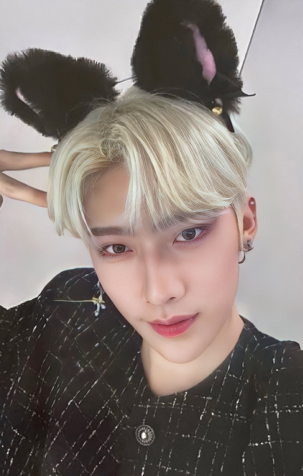 Makestar 1.0 Cat Ver. Preorder