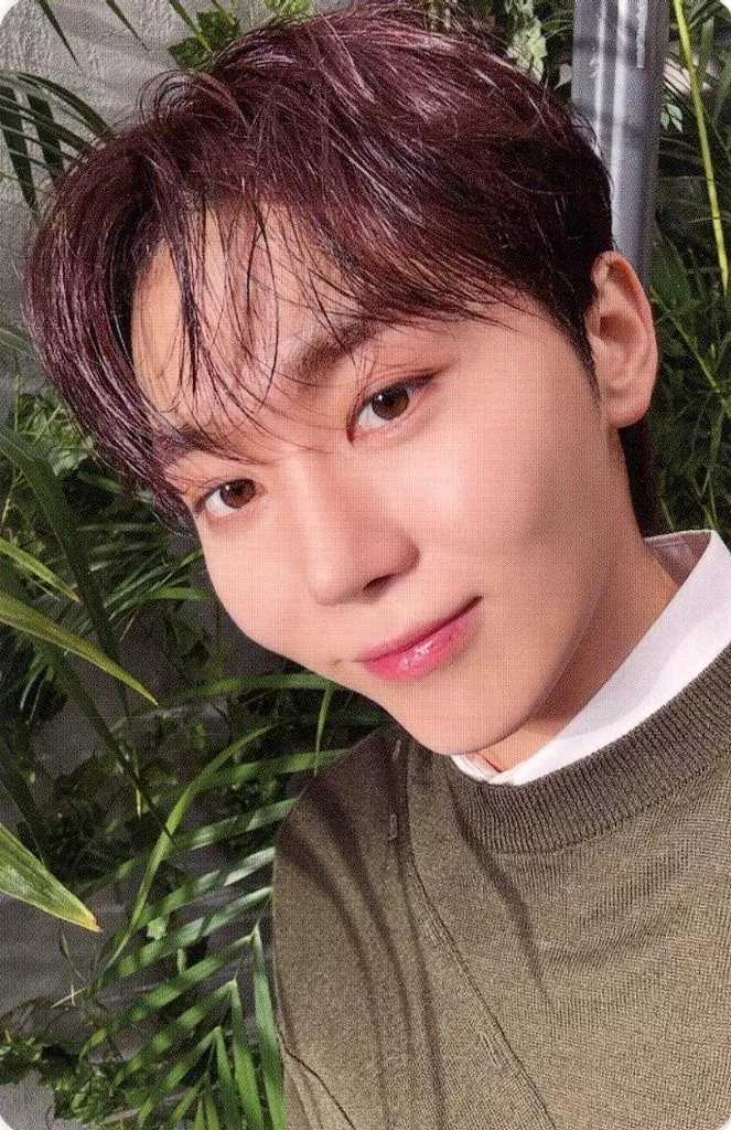 Seungkwan SEVENTEEN photocard from Selfie Photocard B