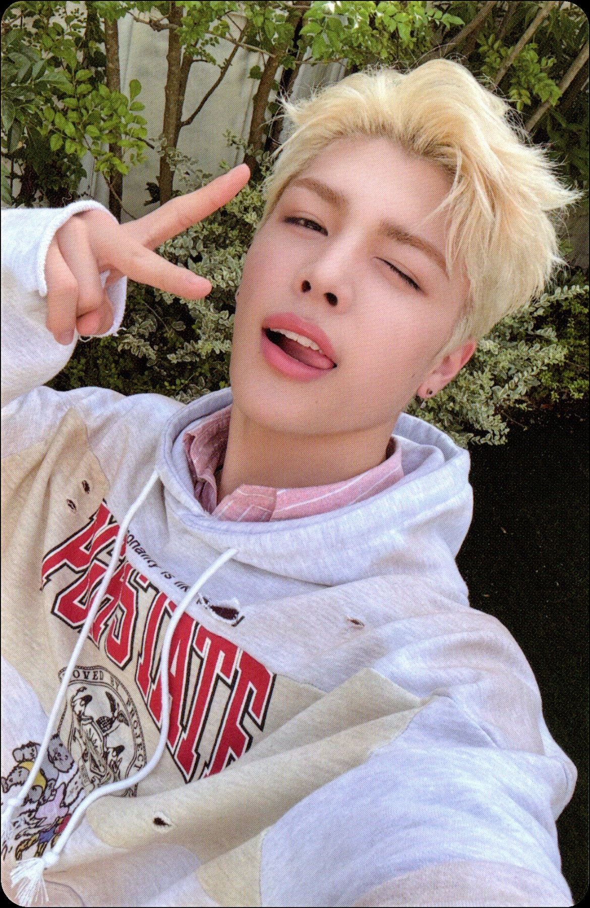 2026 Season's Greetings Photocards