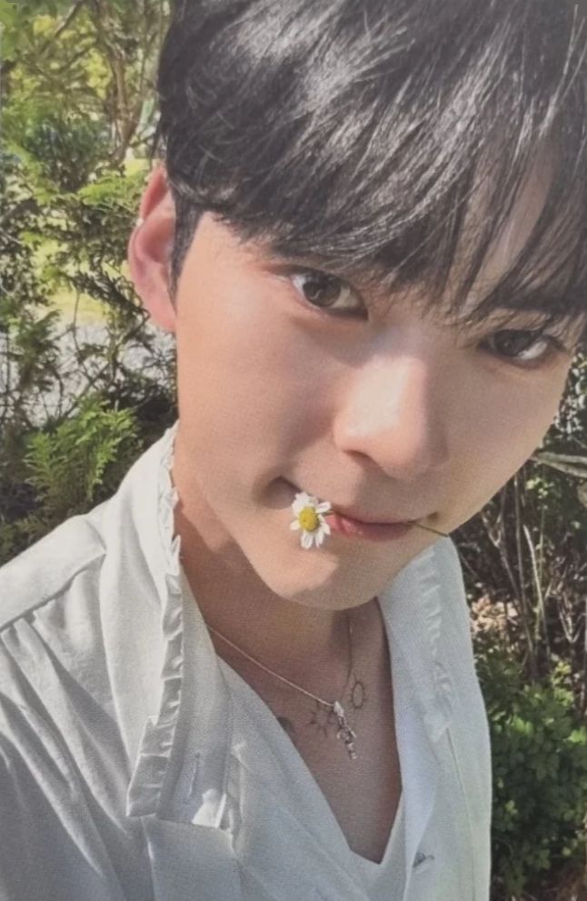 Soundwave 2.0 Preorder