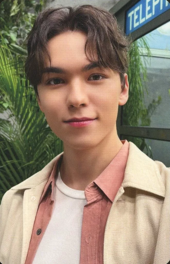 Vernon SEVENTEEN photocard from Selfie Photocard B