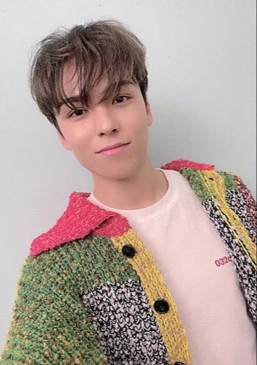 Vernon photocard