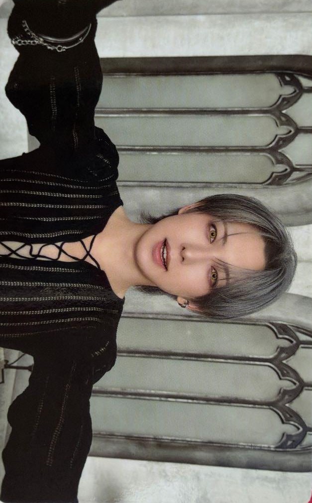 Korean Album Showcase Album Purchase Benefit