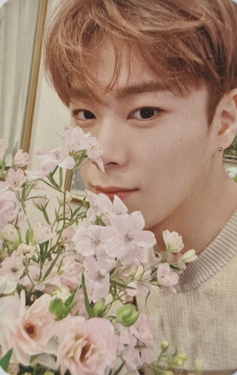 Random Selfie Photocard