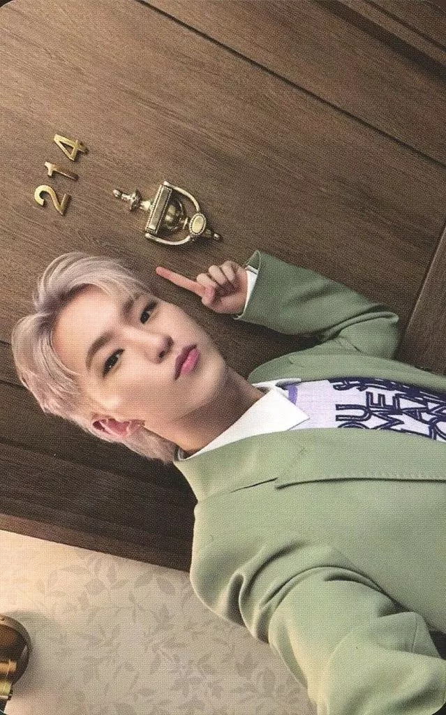 Hoshi SEVENTEEN photocard - SPILL THE FEELS Photocard