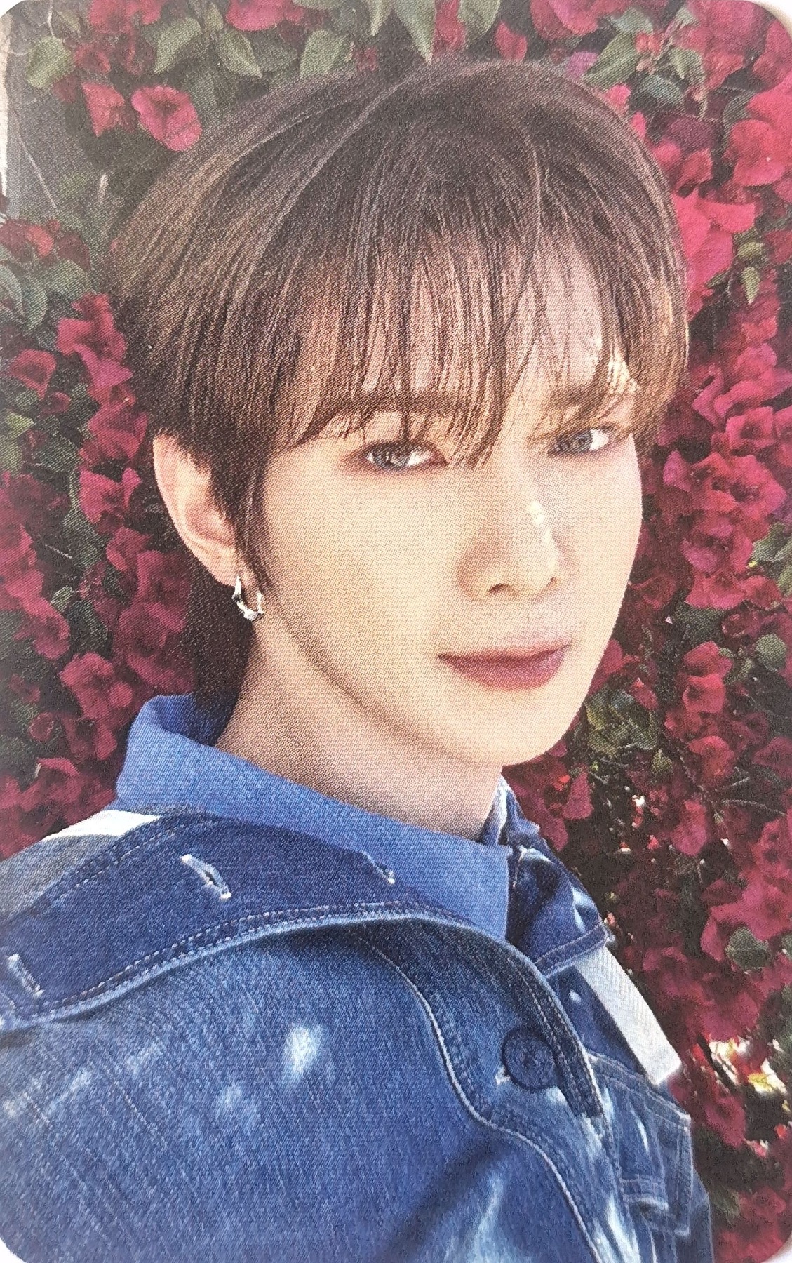 Photocard Z