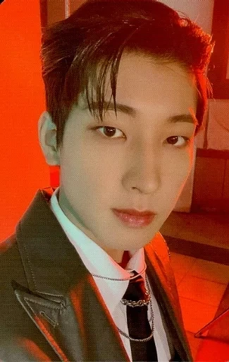 Selfie Photocards