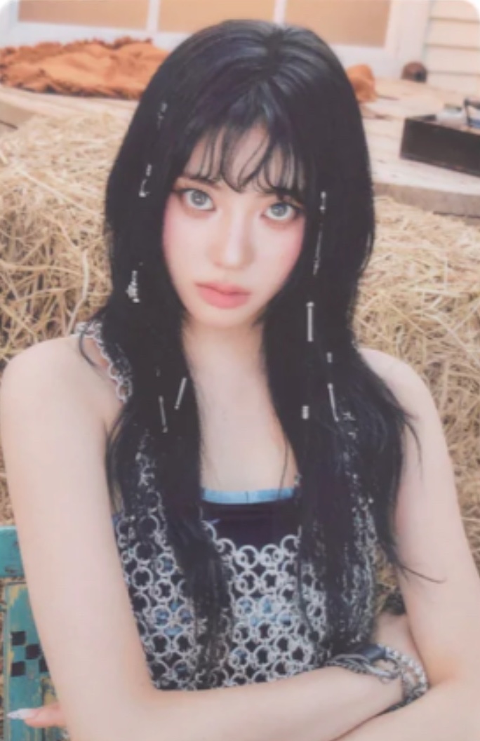 Official MD Random Trading Card