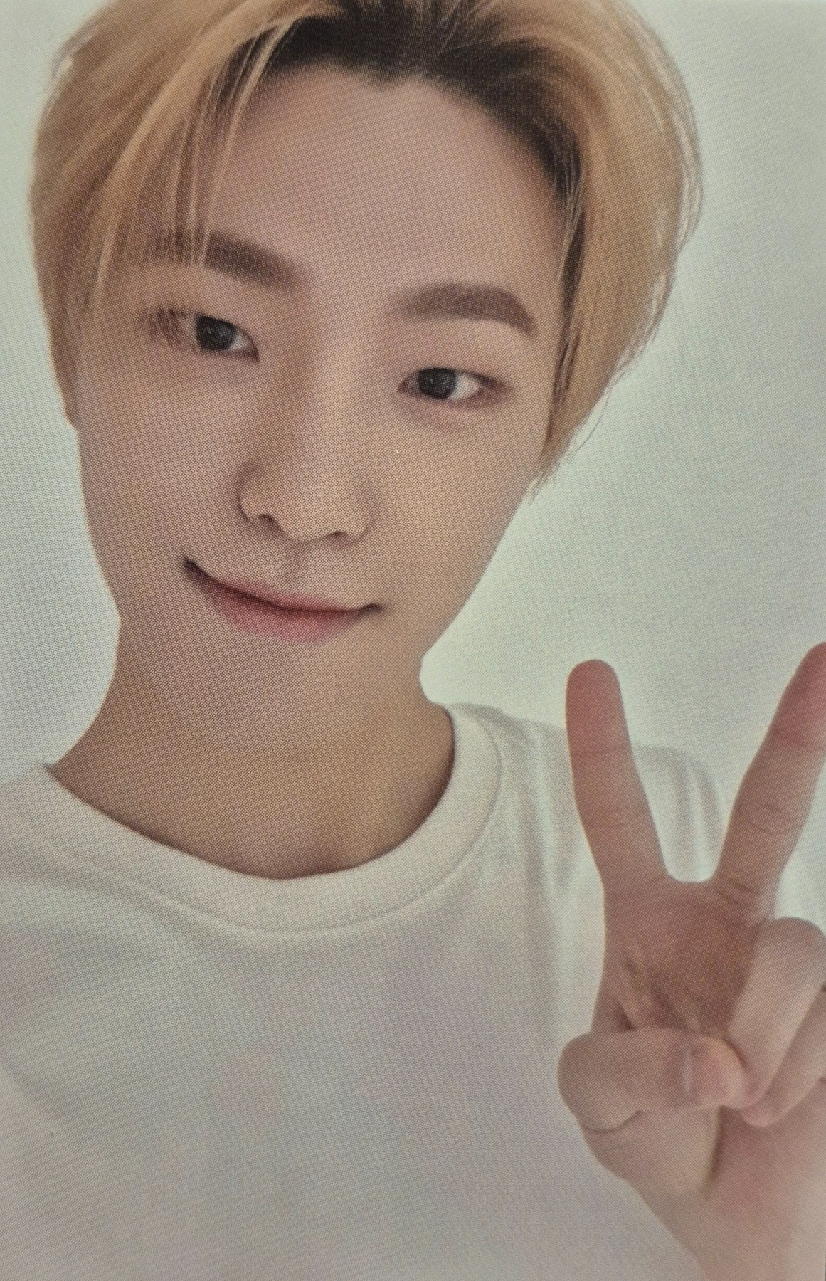 Dino photocard