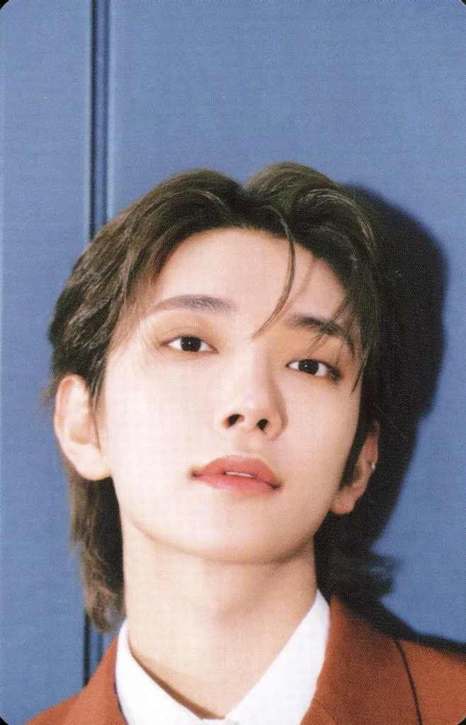 Joshua SEVENTEEN photocard - SPILL THE FEELS Booklet (Random Member set)