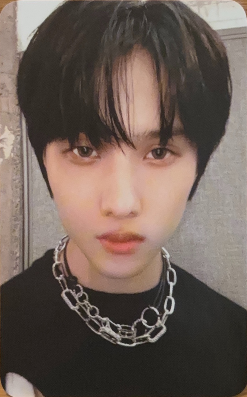 2024 Season's Greetings Member Photo Pack