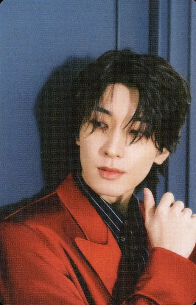 Wonwoo SEVENTEEN photocard - SPILL THE FEELS Booklet (Random Member set)