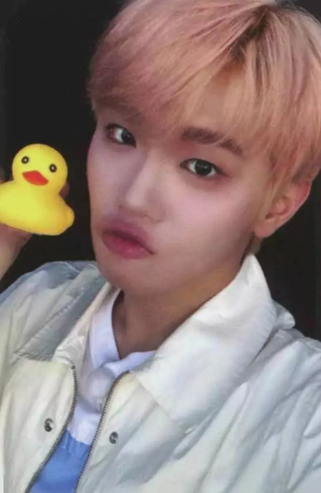 Soundwave 1.0 Preorder