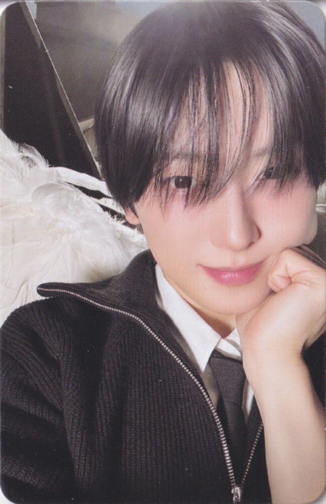 Fuma &TEAM photocard - Back to Life Photocard