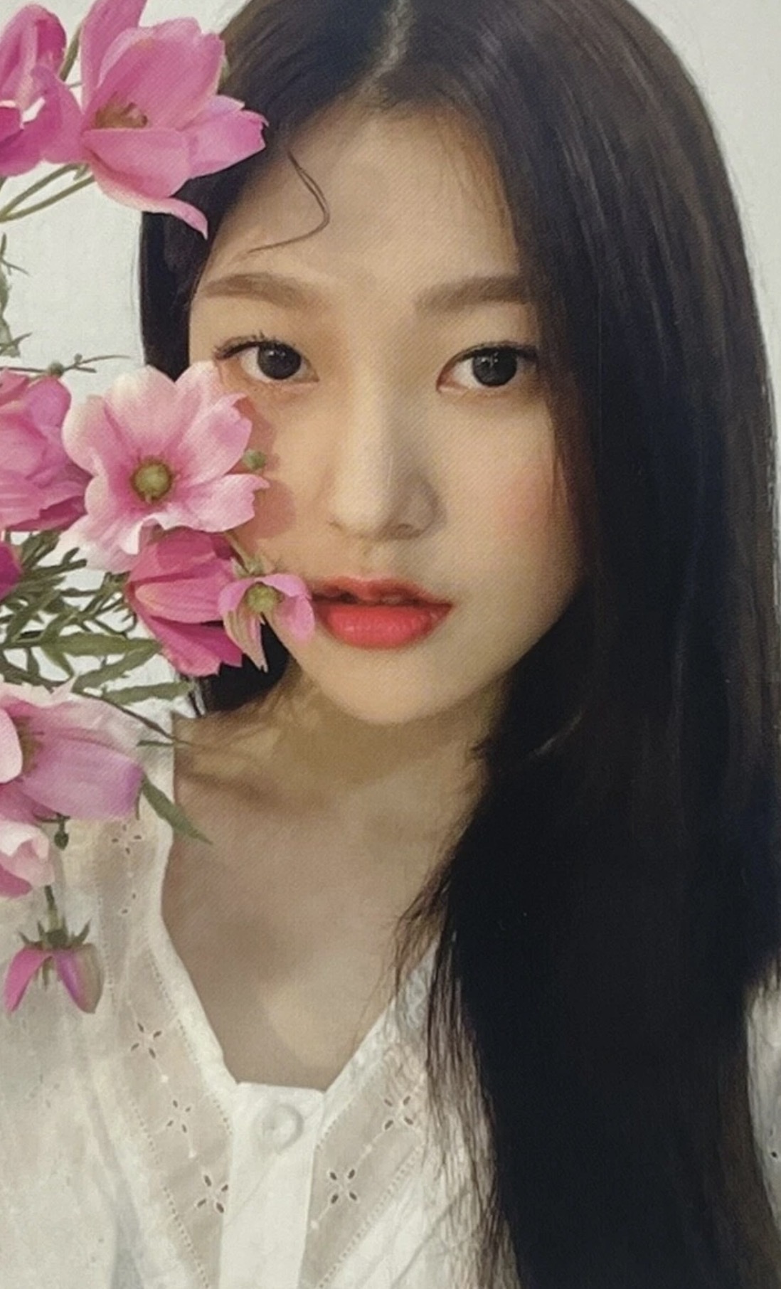 Choerry LOONA photocard from Photocard