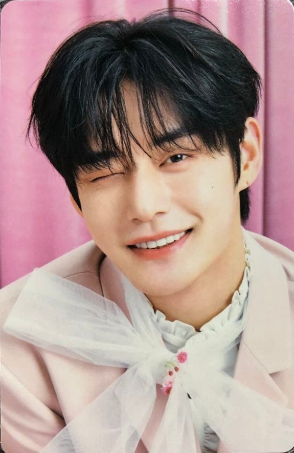 Fancon Japan Trading Cards