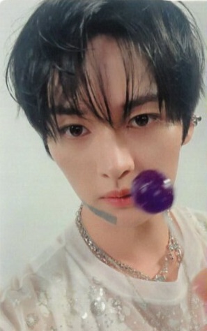 Lee Know Stray Kids photocard - GIANT Benefit