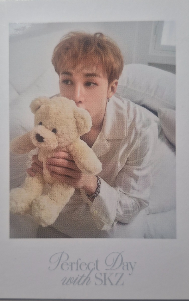 2024 Season's Greetings - Perfect Day with SKZ Polaroid Photocard Set