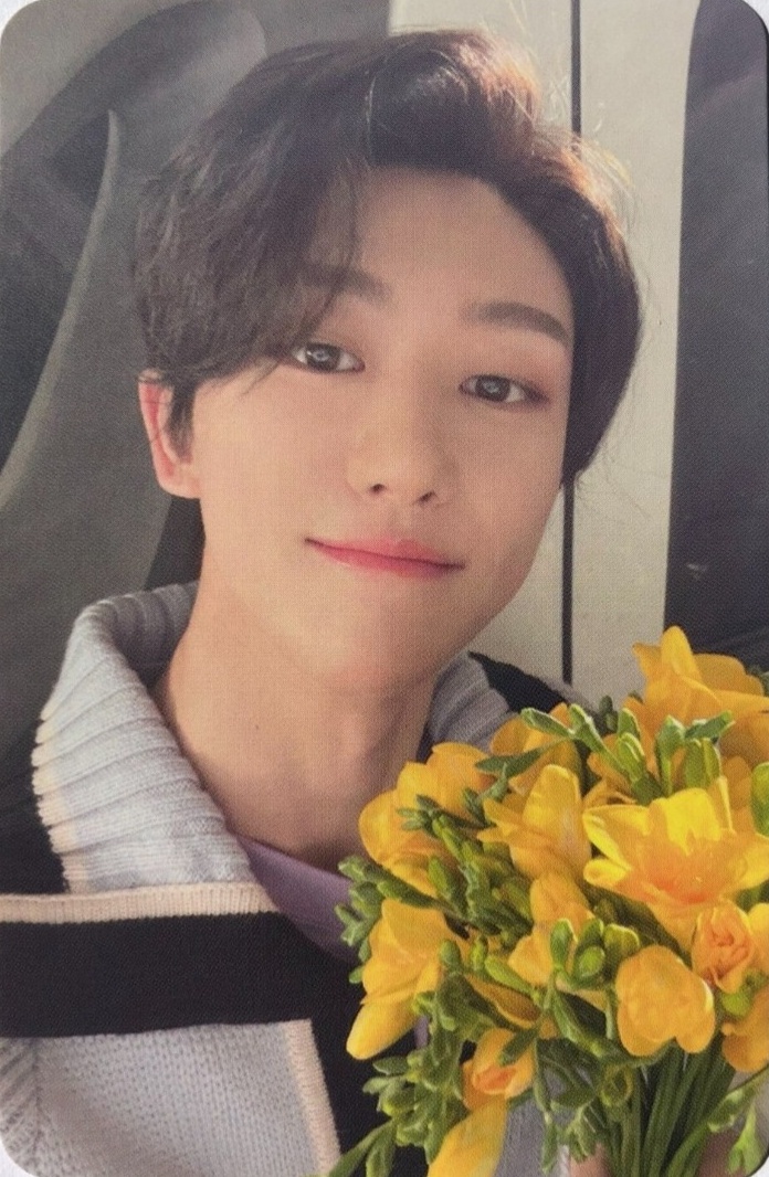 Photocards