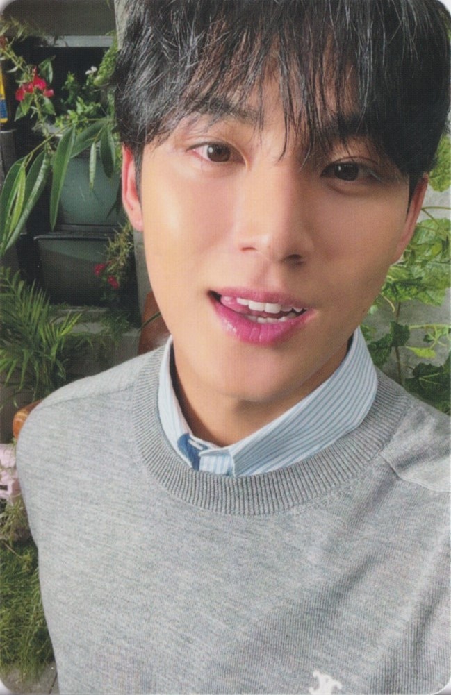 Mingyu SEVENTEEN photocard from Photocard