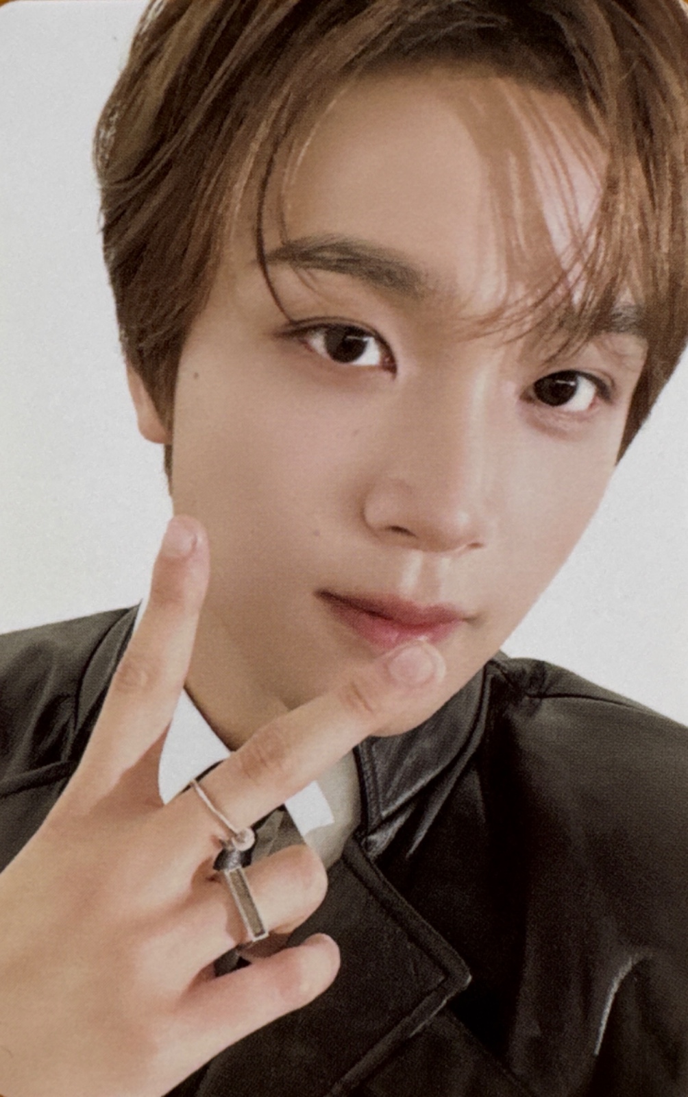 Seasons Greetings 2025 - Silhouette of Dream Selfie Photocards