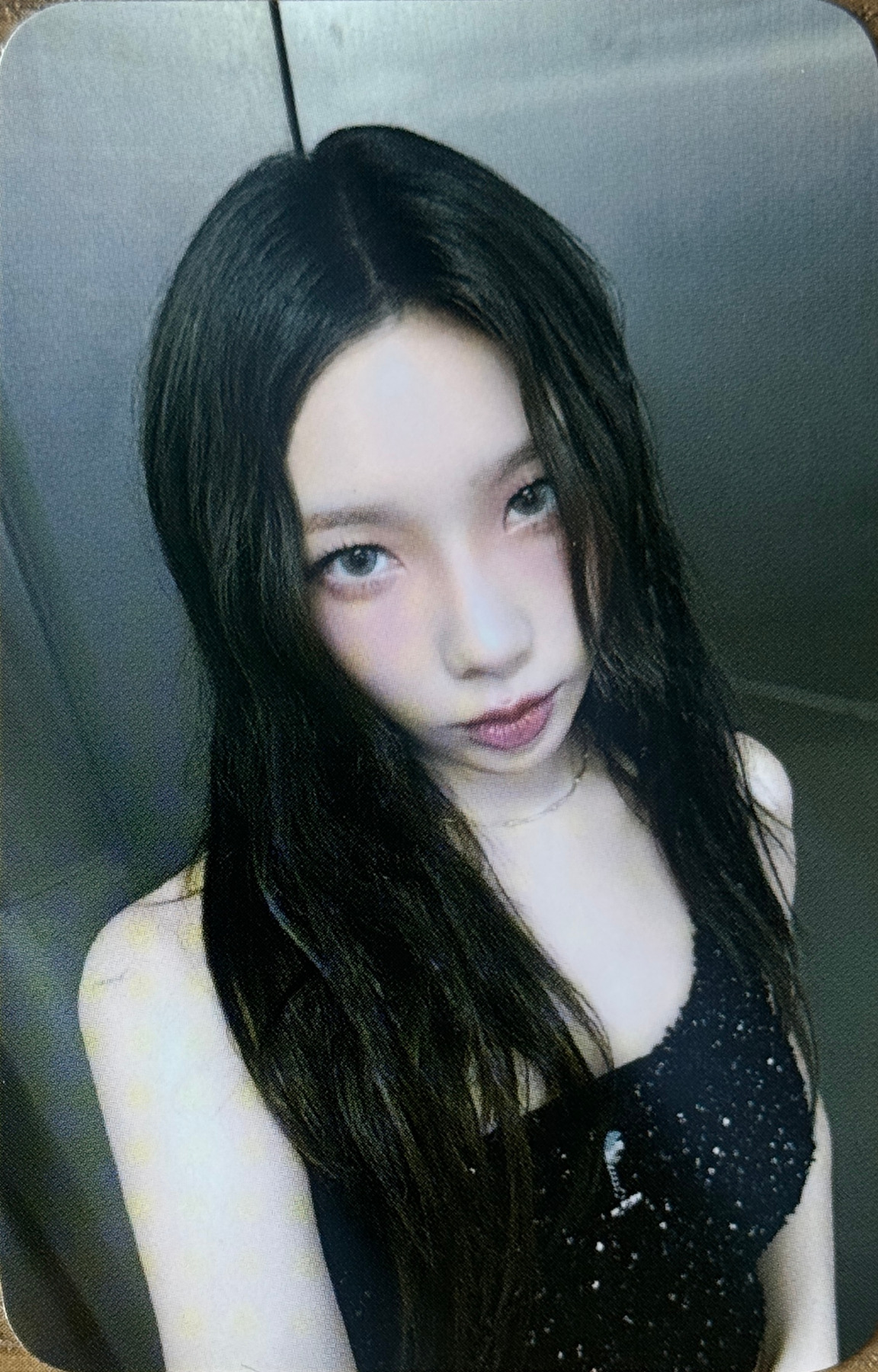 2025 Season's Greetings "Red Berry Girls" Photo Pack