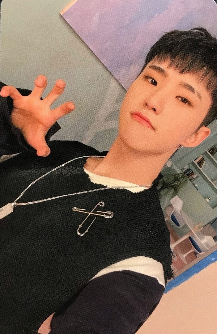 Selfie Photocards