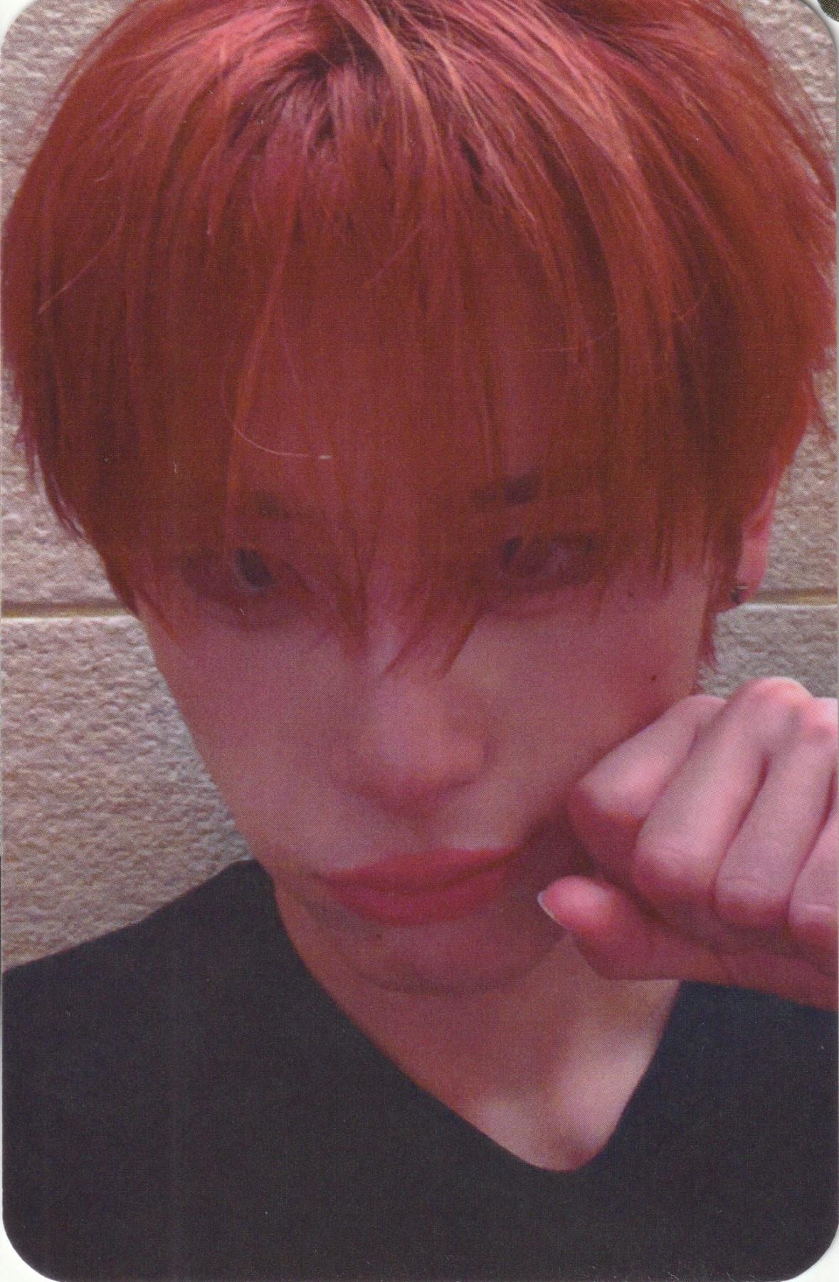 ZINE NPOMV ed. 007 Solo Photocard