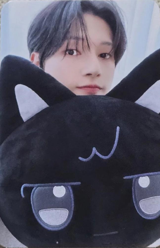 ANITEEZ in ICE CITY Plush Cushion