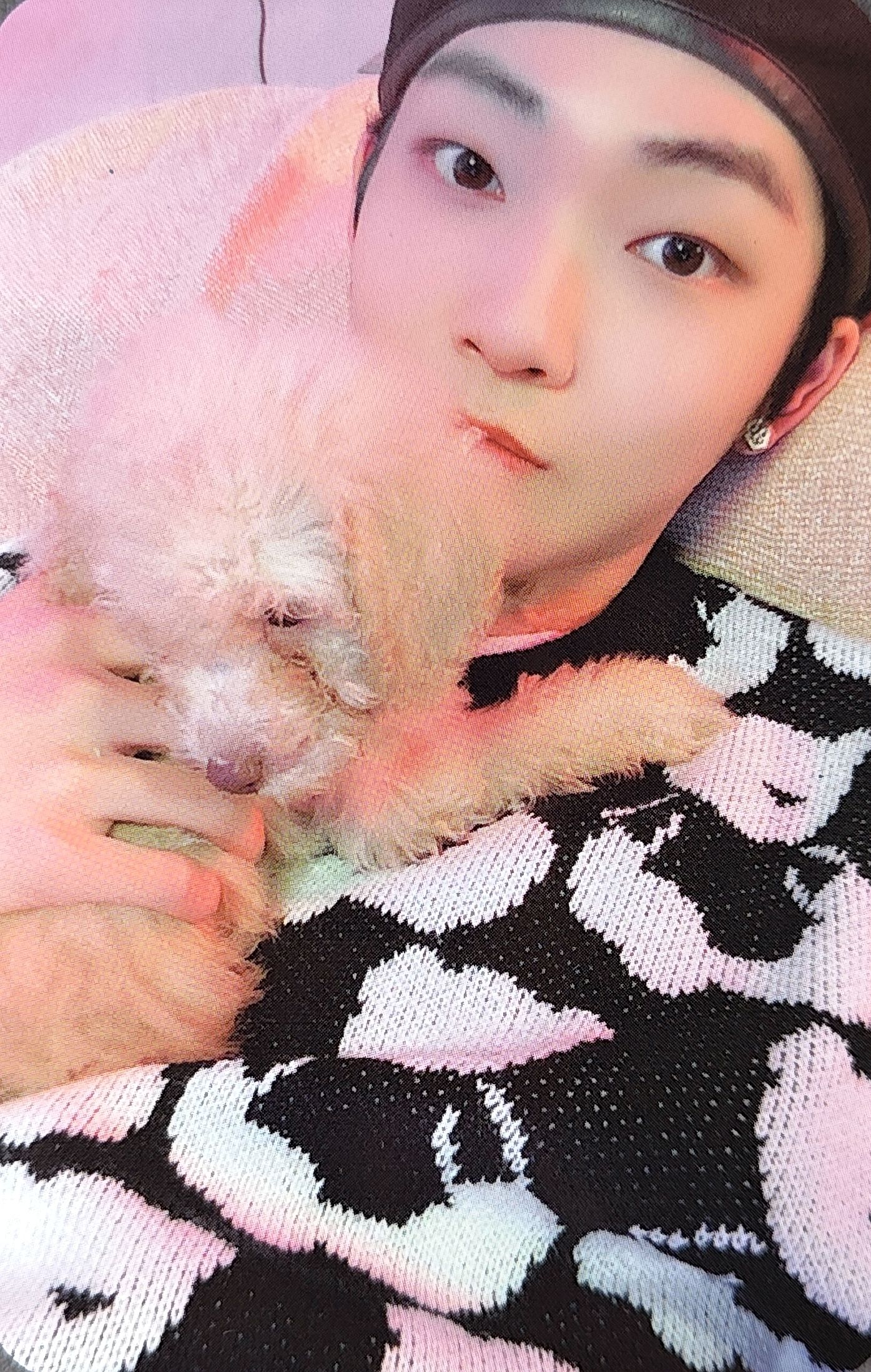Kevin THE BOYZ photocard from Benefit