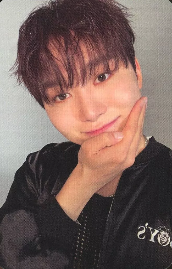 Seungkwan SEVENTEEN photocard - SPILL THE FEELS Photocard